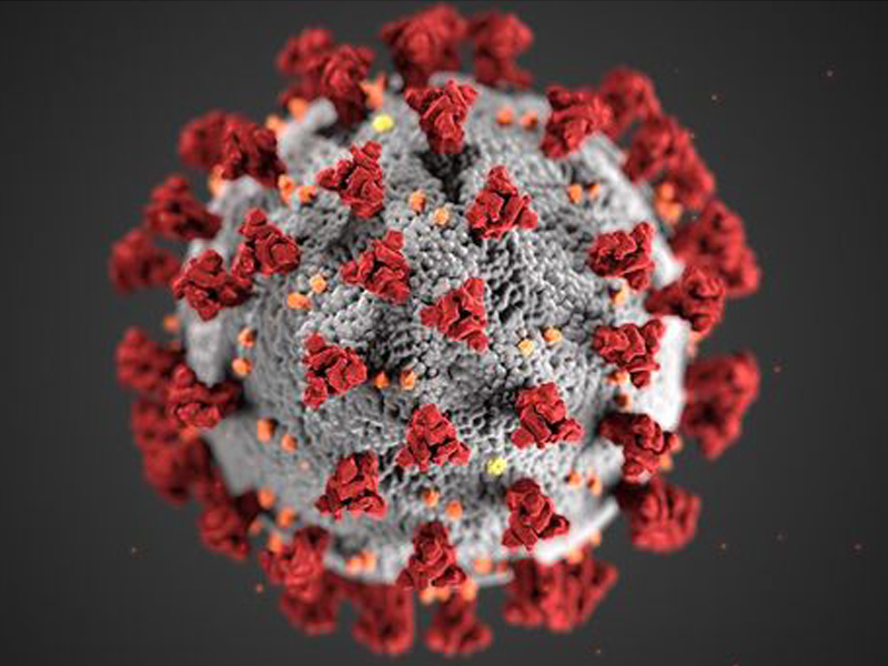 Coronavirus: Can You Avoid It? (2020)