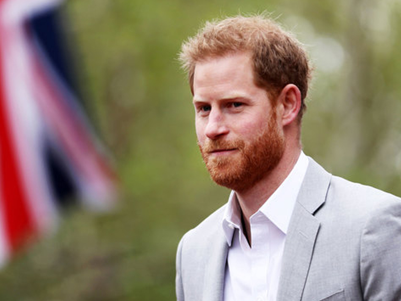 Prince Harry: The Troubled Prince (2020)